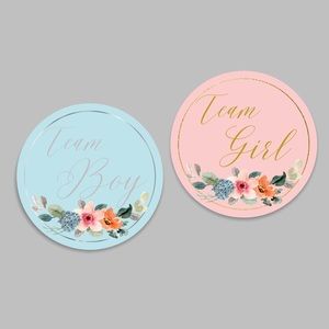 Team Boy, Team Girl, Gender Reveal Party, Baby Shower Stickers